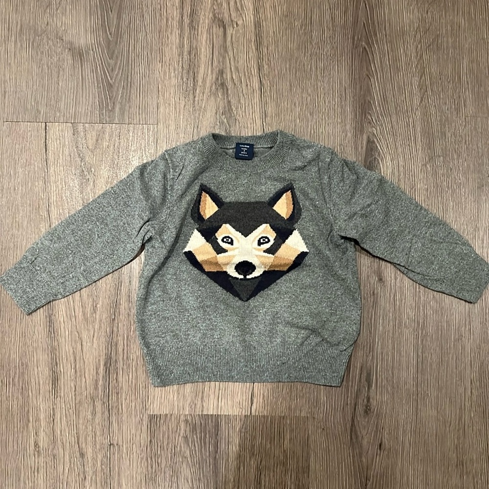 BabyGap sweater